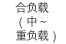 复合负载（中～重负载）